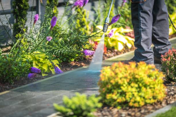 Reliable Mansfield, OH Pressure Washing Services Solutions